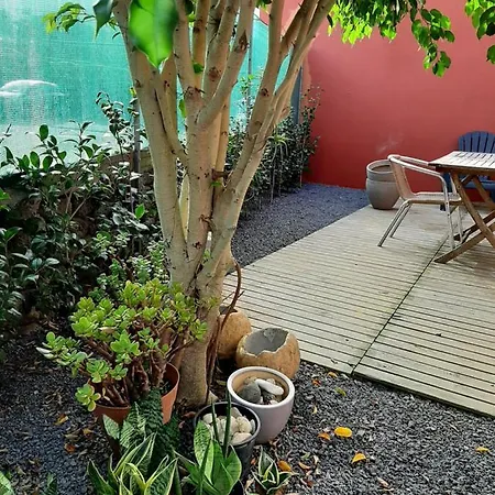 Apartment Casa Yucas - Patio *