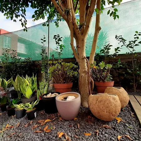 Casa Yucas - Patio Capelas